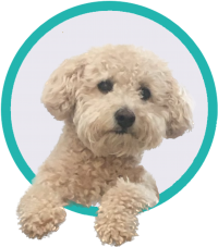 Reggie Avatar